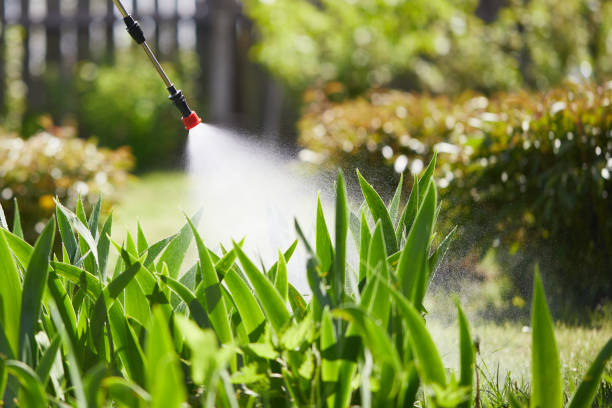 24/7 Emergency Cockroach Control experts in Gun Barrel City, TX